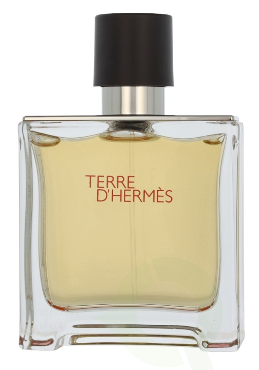 Hermes Terre D\'Hermes Edp Spray 75 ml i gruppen SKØNHED & HELSE / Duft & Parfume / Parfume / Parfume til ham hos TP E-commerce Nordic AB (D11740)