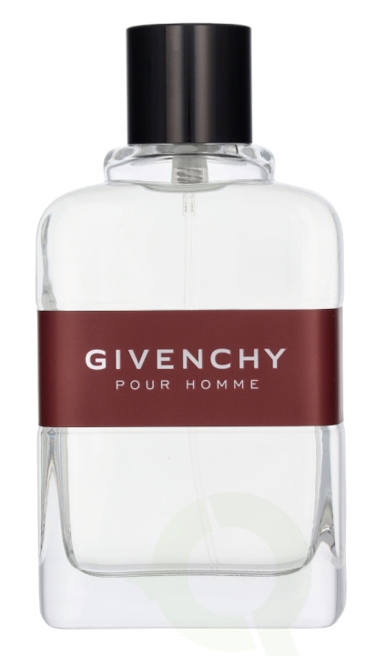 Givenchy Pour Homme Edt Spray 100 ml i gruppen SKØNHED & HELSE / Duft & Parfume / Parfume / Parfume til ham hos TP E-commerce Nordic AB (D14500)